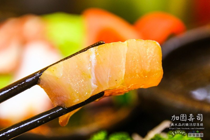 加園壽司【基隆美食】|基隆市仁愛區仁愛市場老饕級的日本料理；別再說美食在基隆廟口了。
