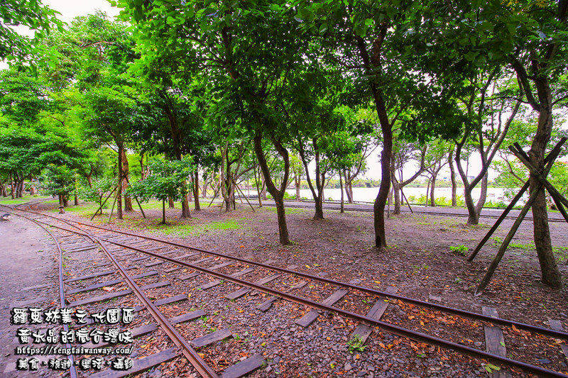 羅東林業文化園區【宜蘭景點】|免門票親子景點百年歷史鐵道林業老火車鐵道迷必訪