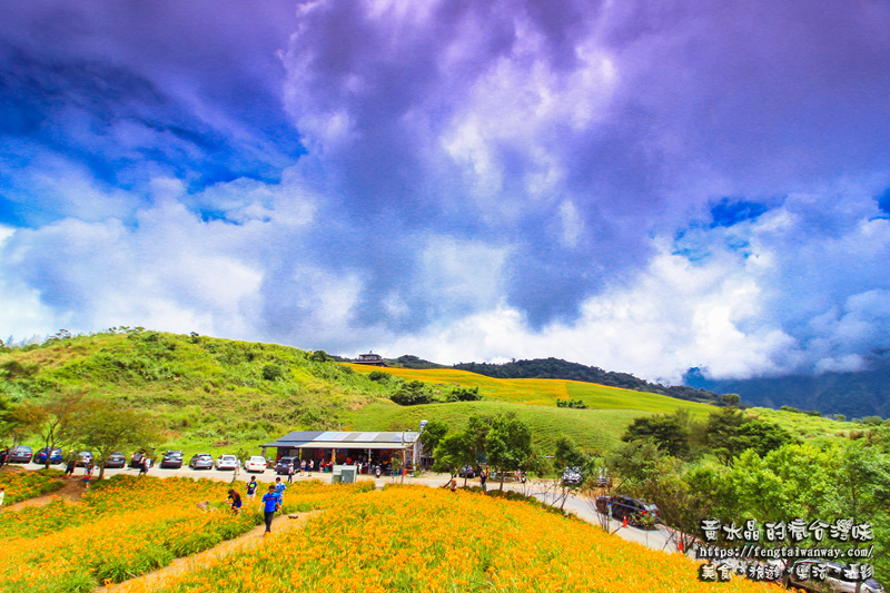 六十石山金針花季【花蓮旅遊】|滿山滿谷的金黃色地毯；交通、場地配置、各大攝影點資訊大公開