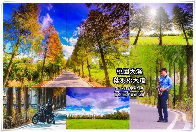 【桃園市全區賞花景點懶人包】讓“黃水晶”告訴你桃園有多美;愛在桃園、美也在桃園 @黃水晶的瘋台灣味 【桃園市全區賞花景點懶人包】讓“黃水晶”告訴你桃園有多美;愛在桃園、美也在桃園 @黃水晶的瘋台灣味