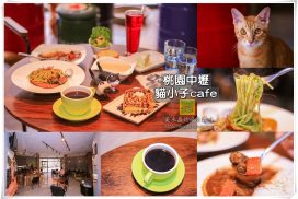 貓小子cafe早午餐【中壢美食】|超萌系三大喵星人鎮守店內;啟英高中附近的隱藏版巷弄寵物餐廳 3 貓小子cafe早午餐【中壢美食】|超萌系三大喵星人鎮守店內;啟英高中附近的隱藏版巷弄寵物餐廳