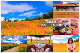 汪家古厝【花蓮景點】|玉里赤柯山最古老古厝|網美必拍金針花海|田園餐點 3 汪家古厝【花蓮景點】|玉里赤柯山上最古老的古厝、最漂亮的網美金針花海在這;還有金針田園餐點可享用