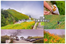 太麻里金針山【台東景點】|太麻里山上必拍景點必吃美食強力攻略;跟著水晶包你拍出亮眼網美風景照 11 太麻里金針山【台東景點】|太麻里山上必拍景點必吃美食強力攻略;跟著水晶包你拍出亮眼網美風景照