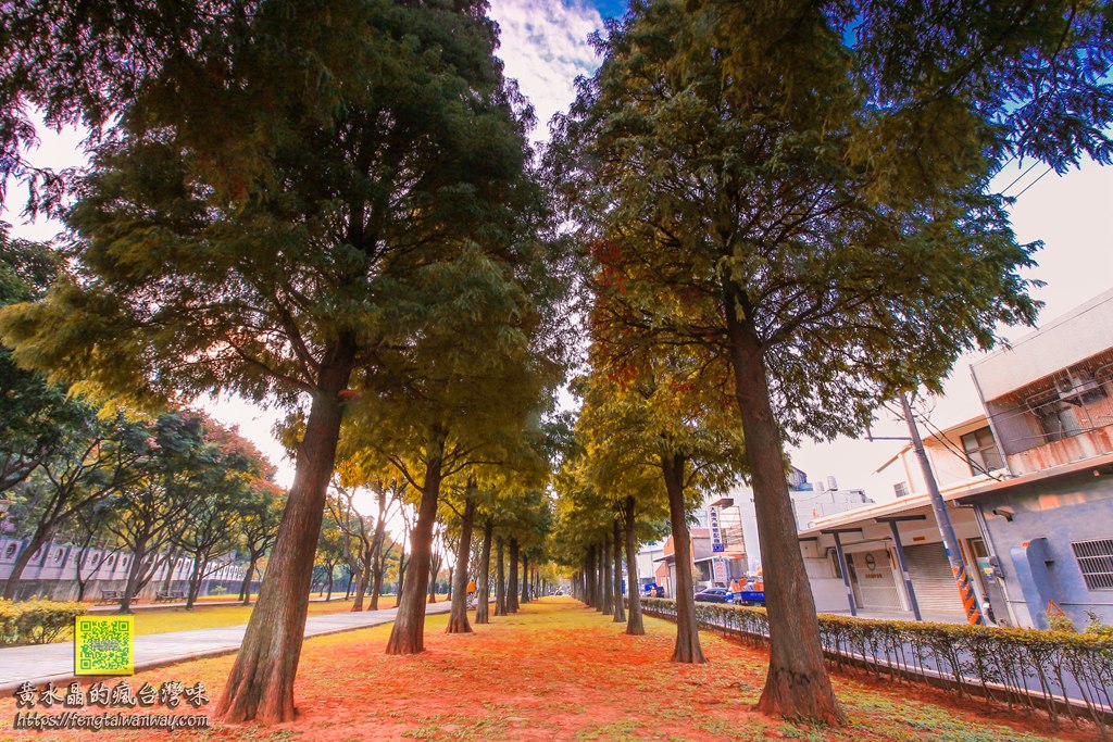 玉山公園【桃園景點】|桃園監理站旁賞落羽松景點還有台灣黑熊溜滑梯可玩耍 @黃水晶的瘋台灣味