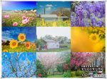 桃園13區賞花景點懶人包｜讓&ldquo;黃水晶&rdquo;告訴你桃園有多美；愛在桃園美也在桃園 @黃水晶的瘋台灣味