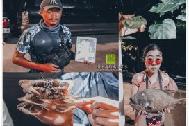 蘭嶼夜觀遊程【蘭嶼旅遊】|蘭嶼夜間生態導覽;蘭嶼角鴞、光澤蝸牛、世界最毒生物、無光害觀星 55 蘭嶼夜觀遊程【蘭嶼旅遊】|蘭嶼夜間生態導覽;蘭嶼角鴞、光澤蝸牛、世界最毒生物、無光害觀星