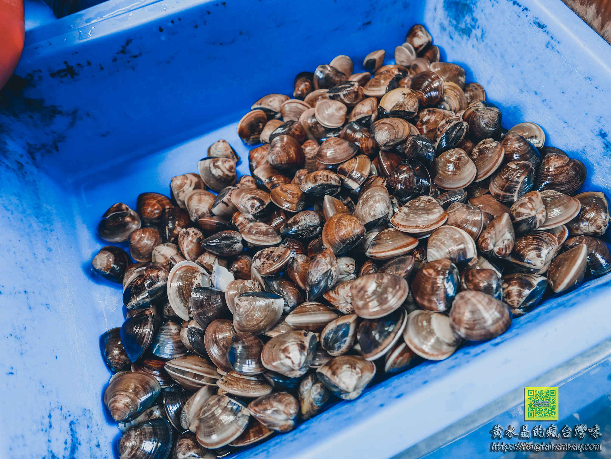 鴻海產粥【龜山美食】|龜山市場后街只要60元的排隊海產粥，每周二還加送一隻螃蟹而且不加價