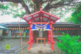 將軍府【花蓮景點】|花蓮縣定古蹟；國軍英雄館美崙溪畔旁的日式建築群
