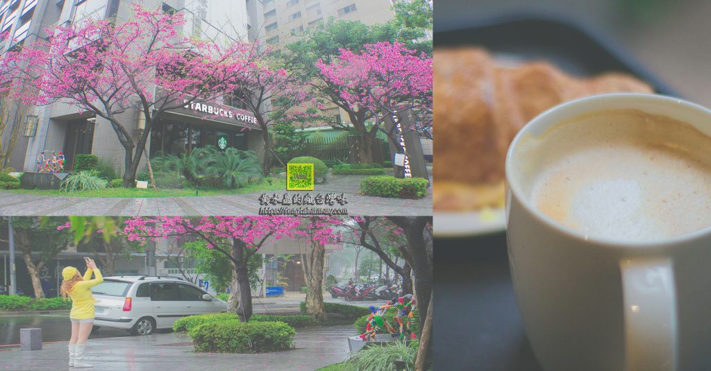 星巴克林口文化三門市【林口咖啡】|林口最美星巴克整個星巴克都是櫻花林