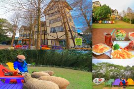 綠光森林【桃園景點】|復興東眼山歐式莊園農場親子景觀餐廳；偽出國近距離餵食綿羊還供民宿山林過夜