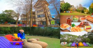 綠光森林【桃園景點】|復興東眼山歐式莊園農場親子景觀餐廳；偽出國近距離餵食綿羊還供民宿山林過夜 @黃水晶的瘋台灣味