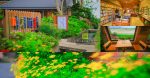 晴耕雨讀小書院｜開在田中央的書店；感受田野書香茶香咖啡香 @黃水晶的瘋台灣味