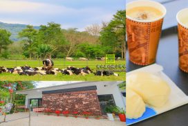 瑞穗牧場【花蓮景點&美食】|瑞穗舞鶴台地下的免費免門票親子景點；乳牛&鴕鳥近距離接觸