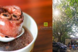 美腿山遊憩區小吃【桃園美食】|復興區羅馬公路上山明水秀的遊客中途休息站