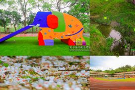 百吉國小【桃園景點&特色小學】|大溪北橫台七線上的森林生態小學；油桐花&彩色大象溜滑梯&環湖步道賞螢火蟲