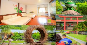 小雨蛙有機生態農場【花蓮住宿】|峇里島風格親子民宿車站免費接駁還有農村生態體驗 @黃水晶的瘋台灣味