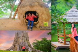 三坑自然生態公園【桃園景點】|龍潭三坑3.8公頃原始生態親子景點；闔家野餐&親子戲水&晨昏攝影&3D彩繪自行車道
