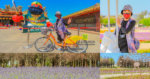 誠聖宮【桃園景點】|不是古蹟廟宇但有300年老帝君神像；YouBike低碳旅遊花海彩繪村 @黃水晶的瘋台灣味