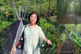 義興吊橋【桃園景點】｜免費羅浮山林小秘境好似台版小嵐山&賽德克巴萊彩虹橋拍攝場景也在這