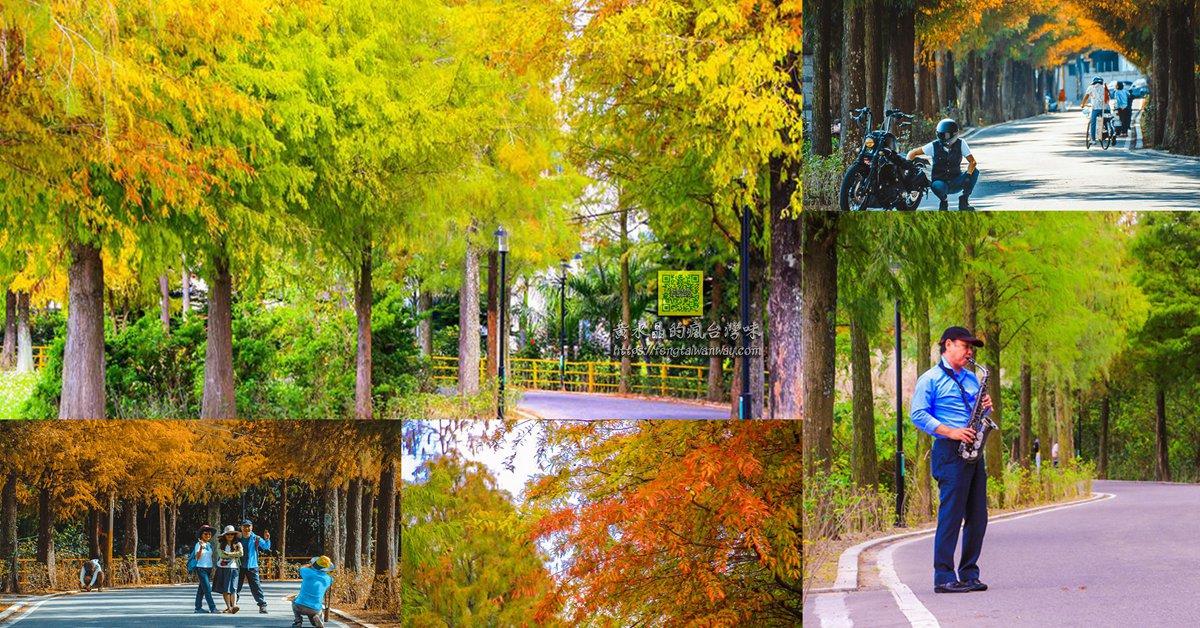 桃園13區賞花景點懶人包｜讓&ldquo;黃水晶&rdquo;告訴你桃園有多美；愛在桃園美也在桃園 @黃水晶的瘋台灣味