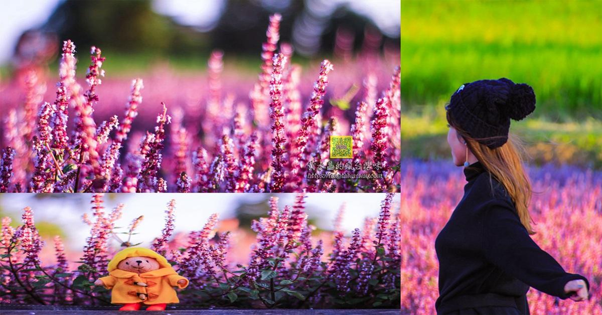 桃園13區賞花景點懶人包｜讓&ldquo;黃水晶&rdquo;告訴你桃園有多美；愛在桃園美也在桃園 @黃水晶的瘋台灣味