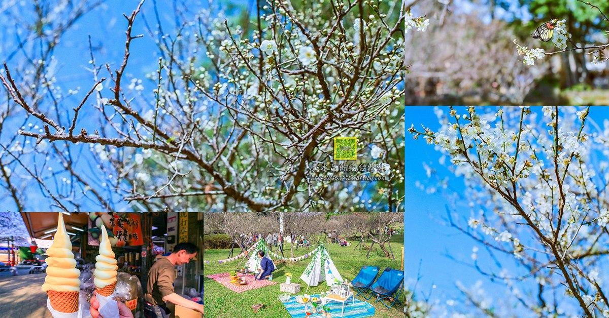 桃園13區賞花景點懶人包｜讓&ldquo;黃水晶&rdquo;告訴你桃園有多美；愛在桃園美也在桃園 @黃水晶的瘋台灣味