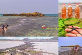 奎壁山摩西分海【澎湖景點】|海水為我開路必遊踏浪奇景 10 奎壁山摩西分海【澎湖景點】|海水為我開路必遊踏浪奇景