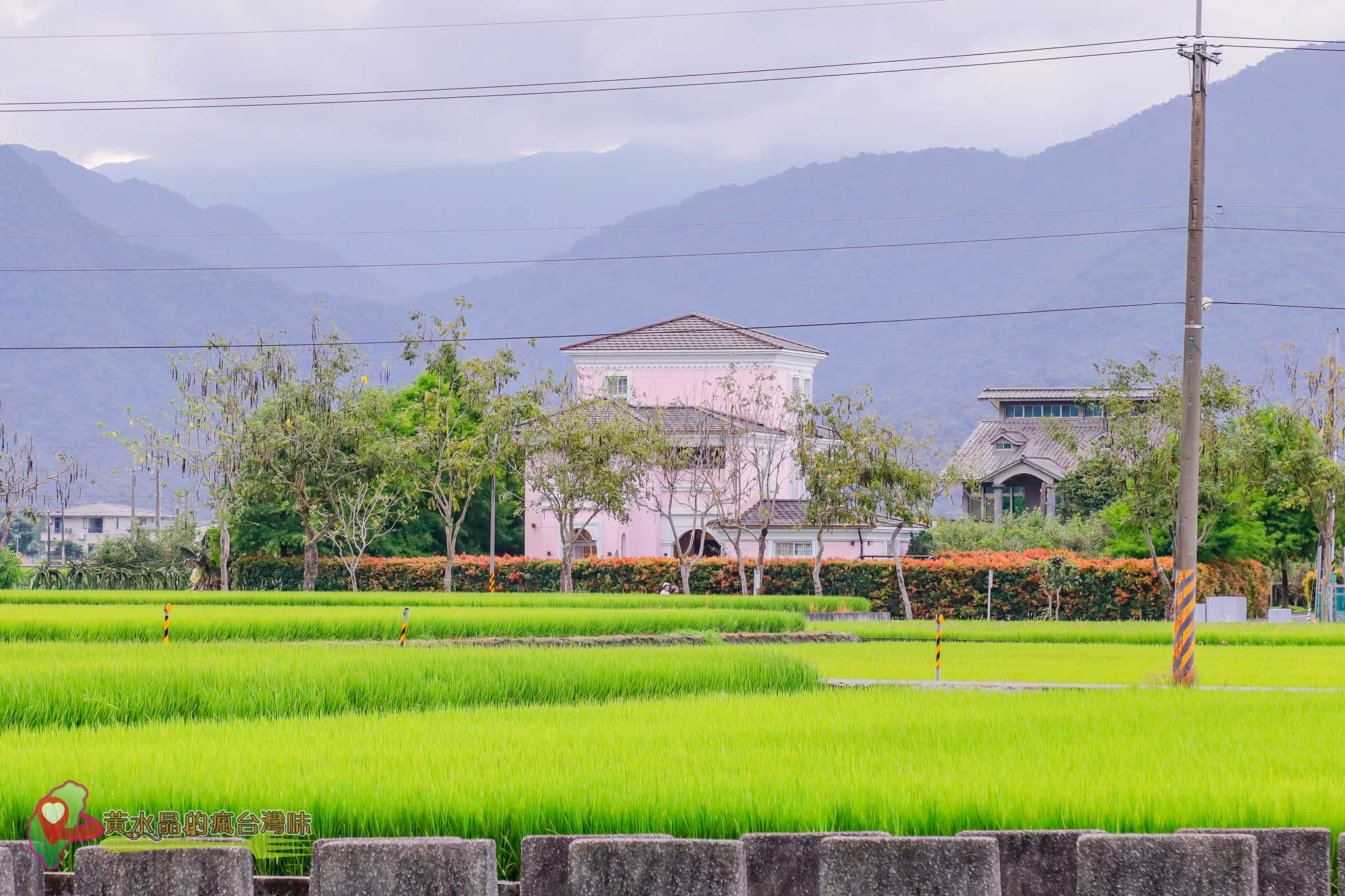 張美阿嬤農場｜宜蘭網美景點｜宜蘭親子景點｜三星親子景點｜宜蘭動物景點｜草泥馬｜水豚君｜柯爾鴨｜梅花鹿｜袋鼠｜和服體驗｜宜蘭美食