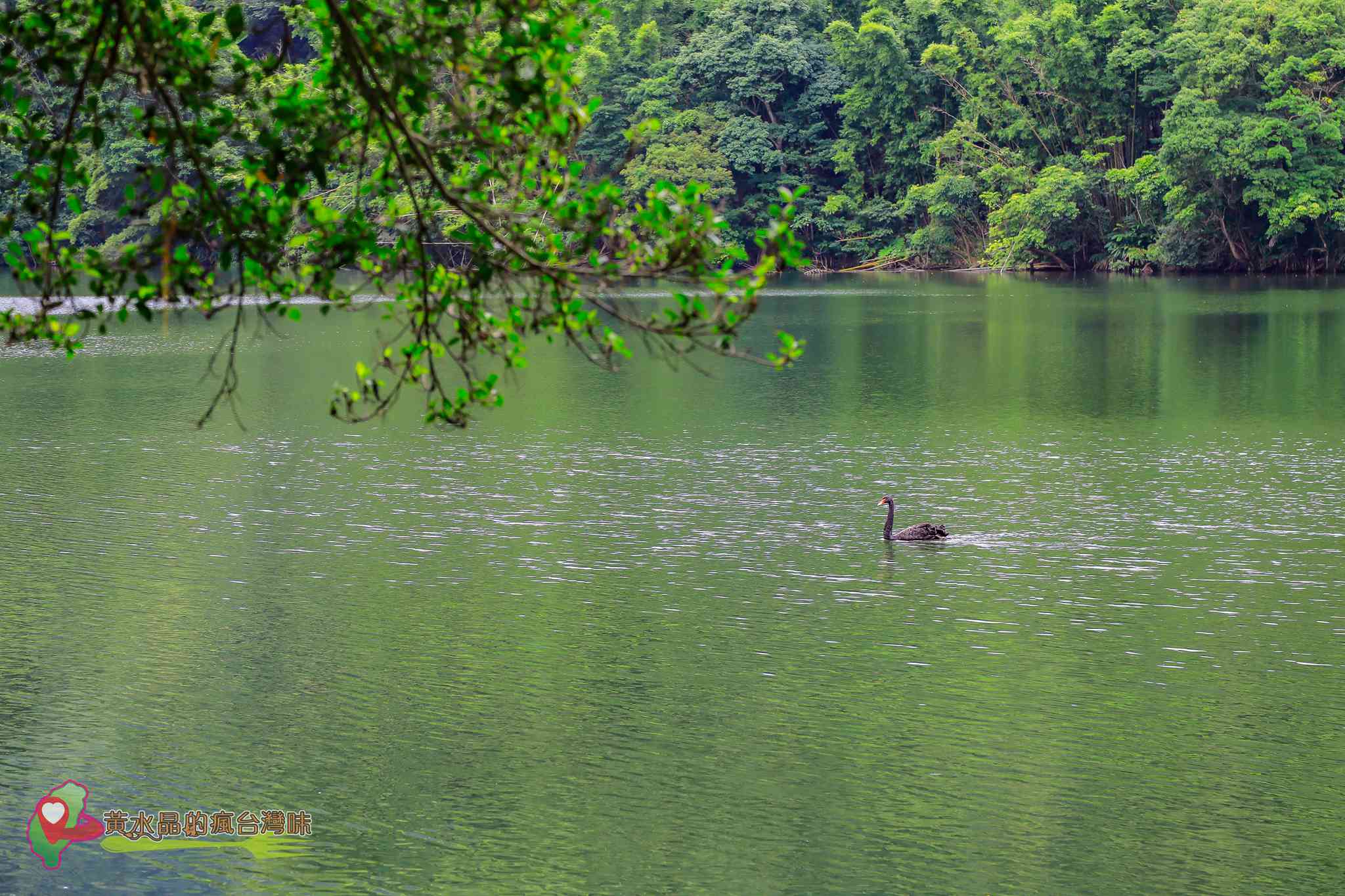 後慈湖｜大溪景點｜桃園景點｜大溪秘境｜桃園秘境｜兩蔣文化園區｜慈湖陵寢｜慈湖秘境｜桃園網美景點｜大溪網美景點｜螢火蟲