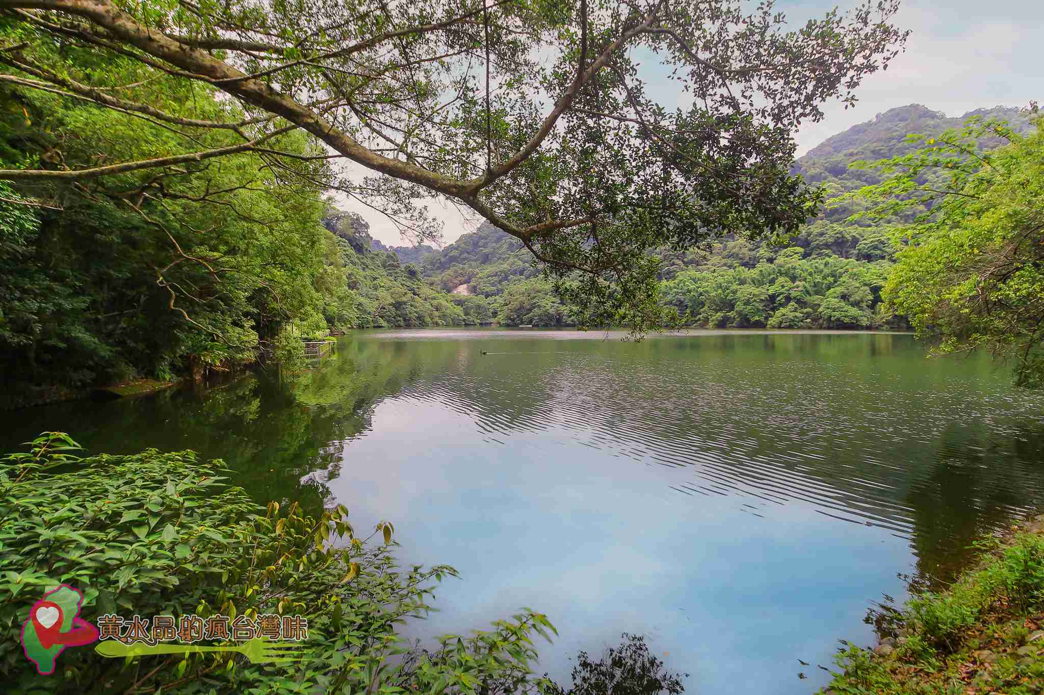 後慈湖｜大溪景點｜桃園景點｜大溪秘境｜桃園秘境｜兩蔣文化園區｜慈湖陵寢｜慈湖秘境｜桃園網美景點｜大溪網美景點｜螢火蟲