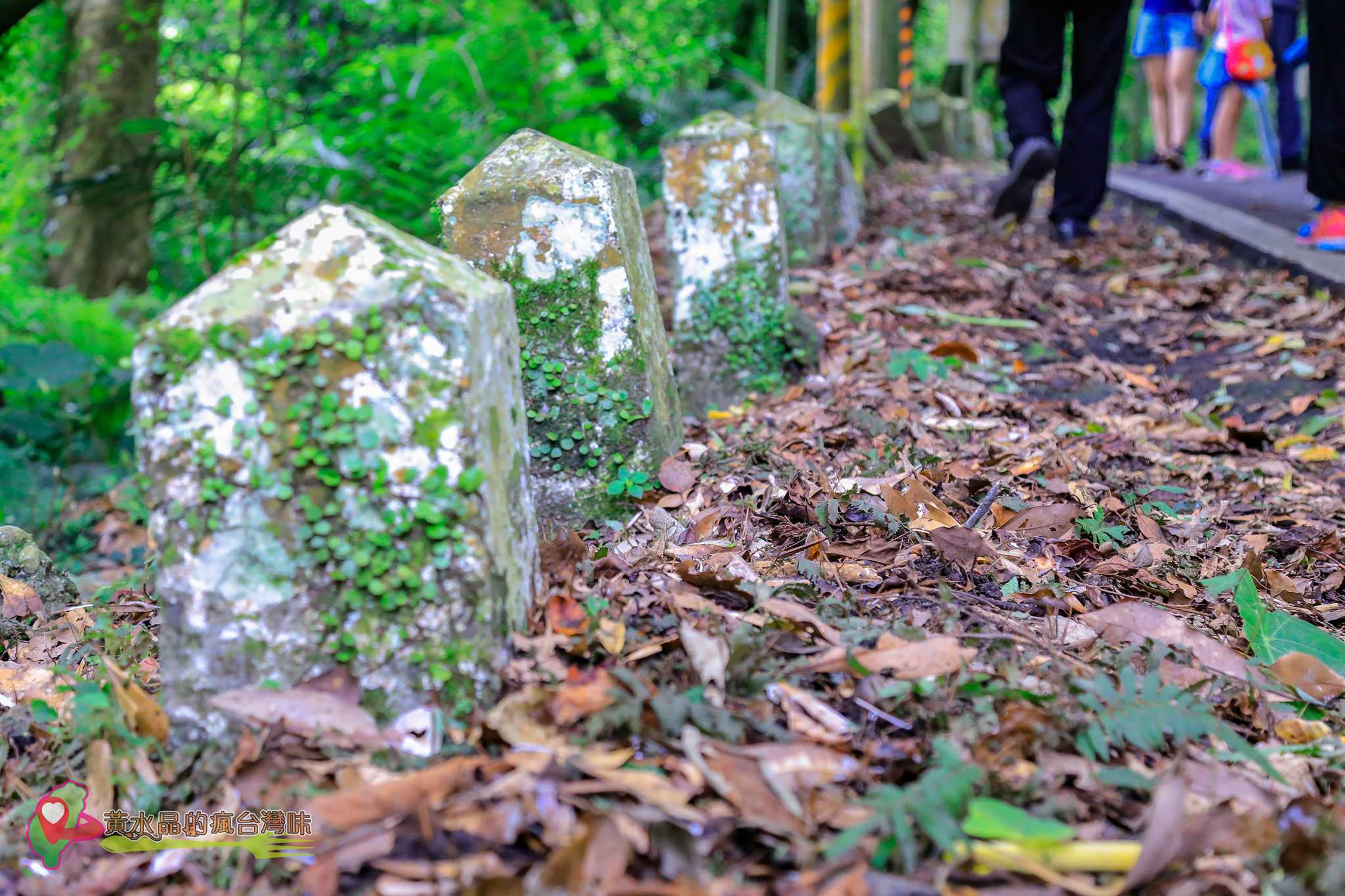 後慈湖｜大溪景點｜桃園景點｜大溪秘境｜桃園秘境｜兩蔣文化園區｜慈湖陵寢｜慈湖秘境｜桃園網美景點｜大溪網美景點｜螢火蟲