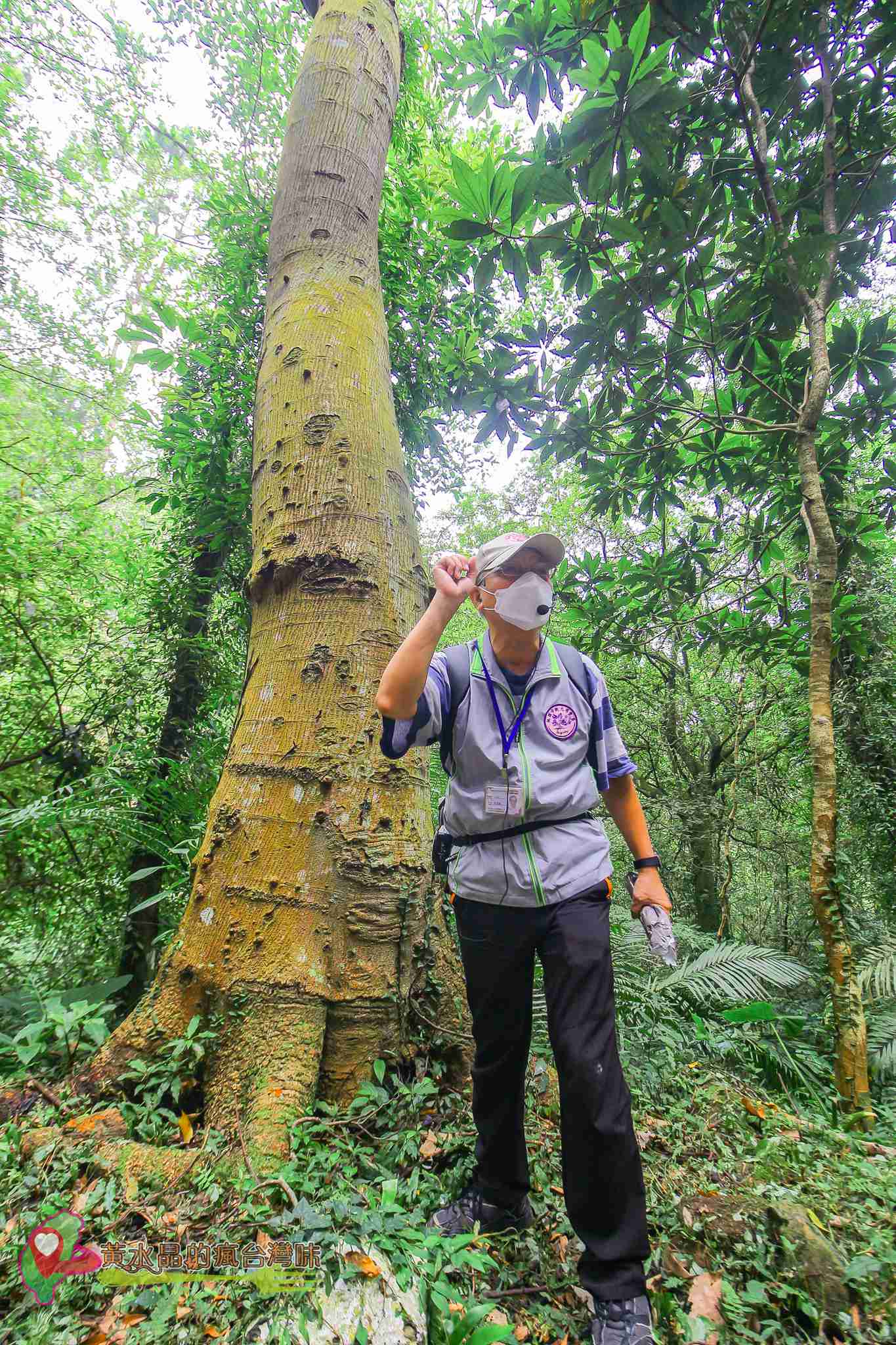 後慈湖｜大溪景點｜桃園景點｜大溪秘境｜桃園秘境｜兩蔣文化園區｜慈湖陵寢｜慈湖秘境｜桃園網美景點｜大溪網美景點｜螢火蟲