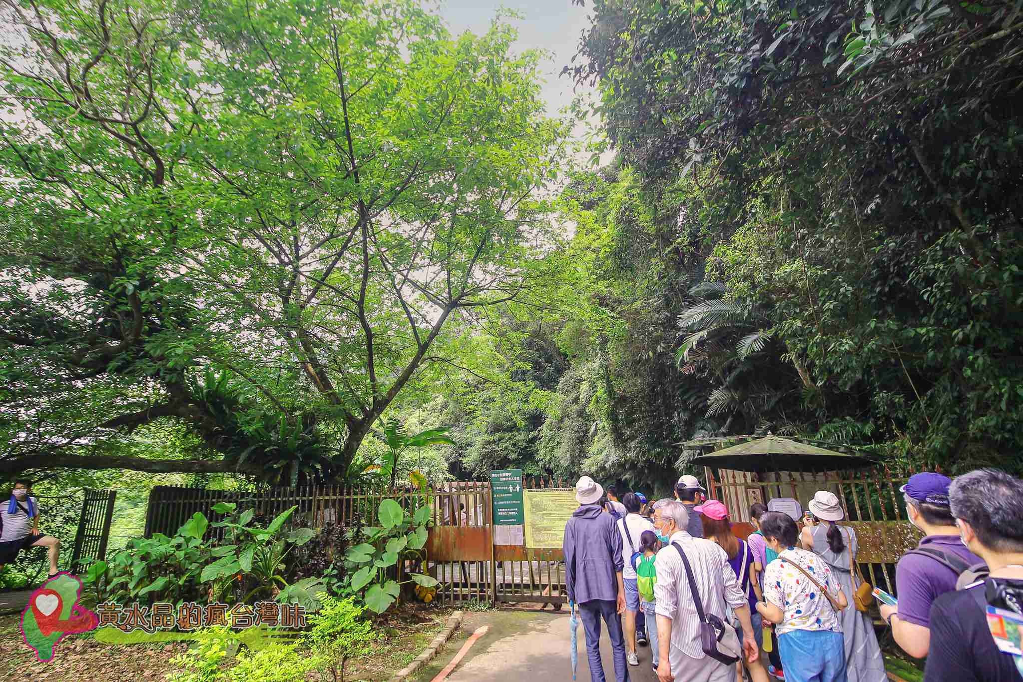 後慈湖｜大溪景點｜桃園景點｜大溪秘境｜桃園秘境｜兩蔣文化園區｜慈湖陵寢｜慈湖秘境｜桃園網美景點｜大溪網美景點｜螢火蟲