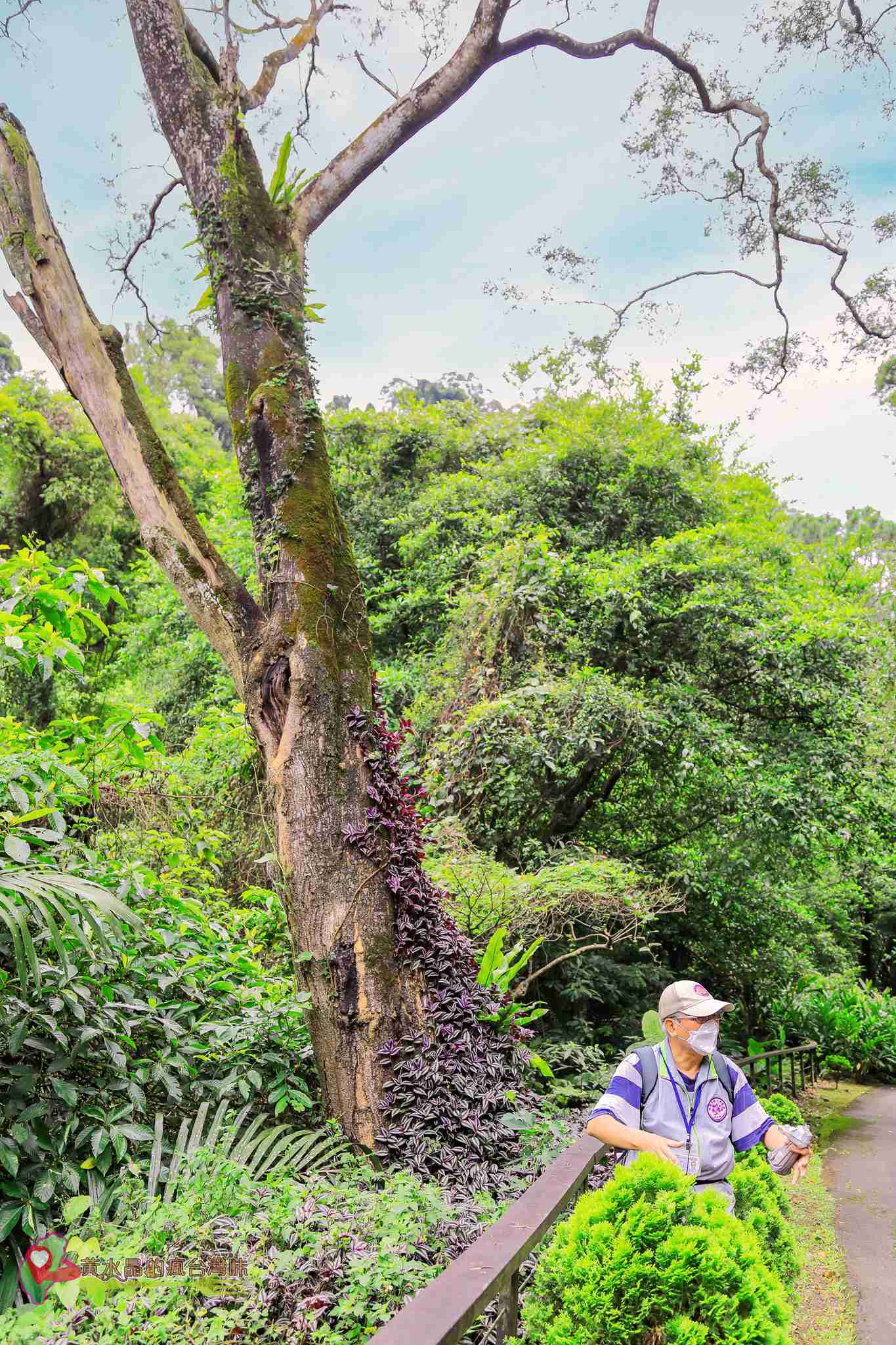 後慈湖｜大溪景點｜桃園景點｜大溪秘境｜桃園秘境｜兩蔣文化園區｜慈湖陵寢｜慈湖秘境｜桃園網美景點｜大溪網美景點｜螢火蟲