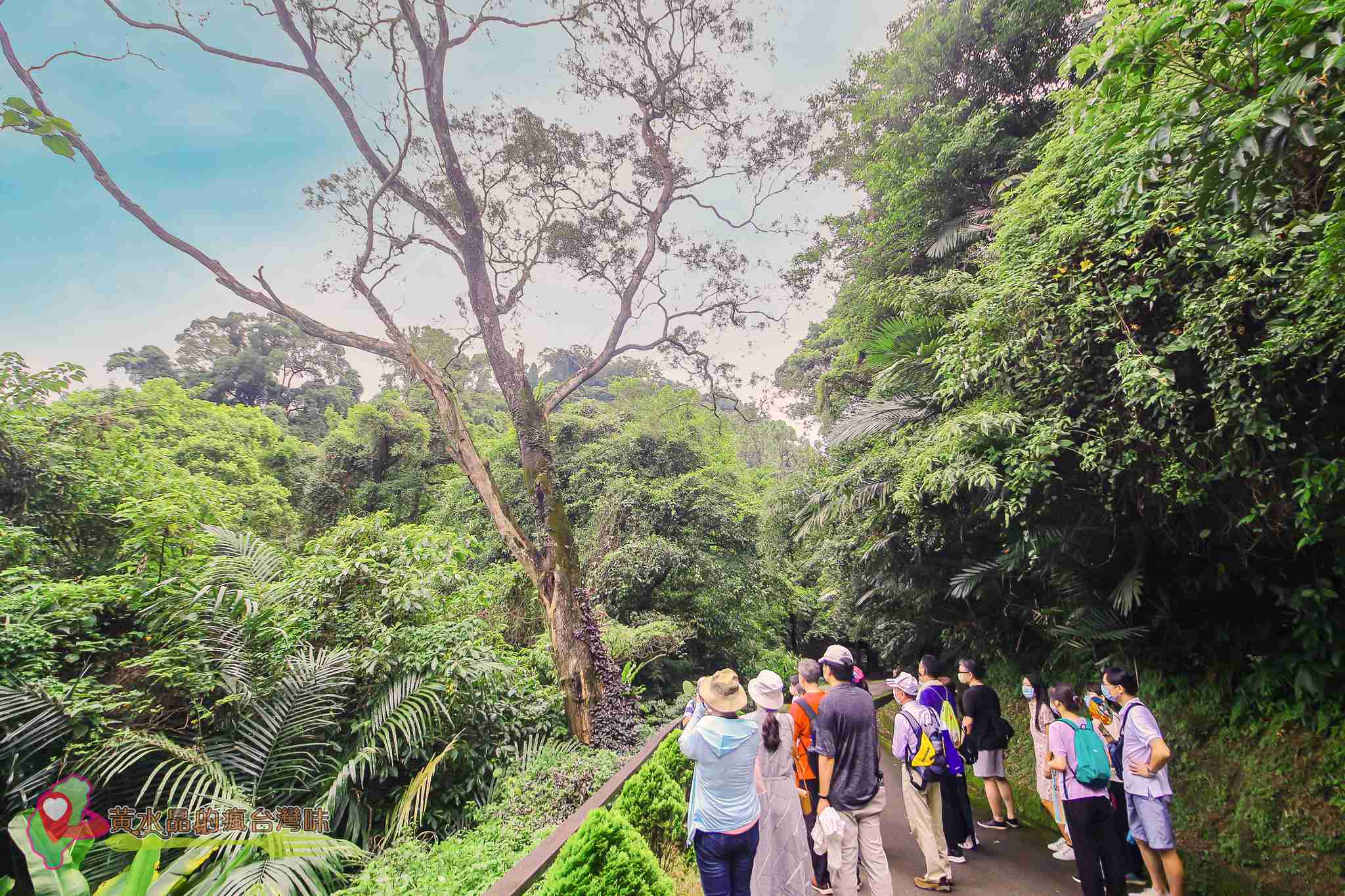 後慈湖｜大溪景點｜桃園景點｜大溪秘境｜桃園秘境｜兩蔣文化園區｜慈湖陵寢｜慈湖秘境｜桃園網美景點｜大溪網美景點｜螢火蟲