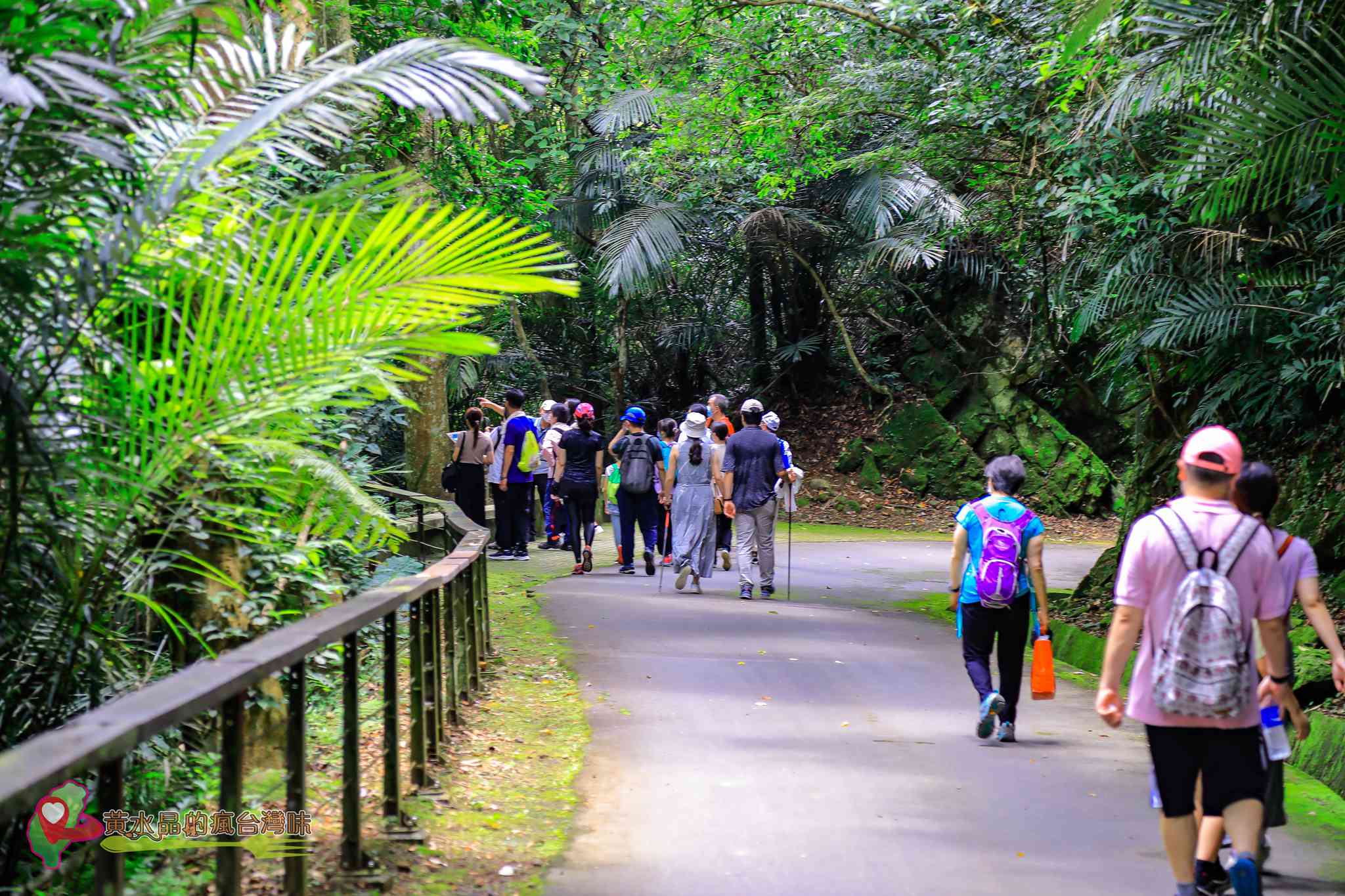 後慈湖｜大溪景點｜桃園景點｜大溪秘境｜桃園秘境｜兩蔣文化園區｜慈湖陵寢｜慈湖秘境｜桃園網美景點｜大溪網美景點｜螢火蟲