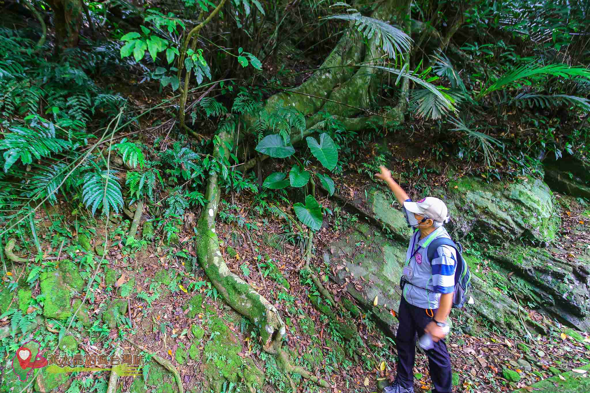 後慈湖｜大溪景點｜桃園景點｜大溪秘境｜桃園秘境｜兩蔣文化園區｜慈湖陵寢｜慈湖秘境｜桃園網美景點｜大溪網美景點｜螢火蟲