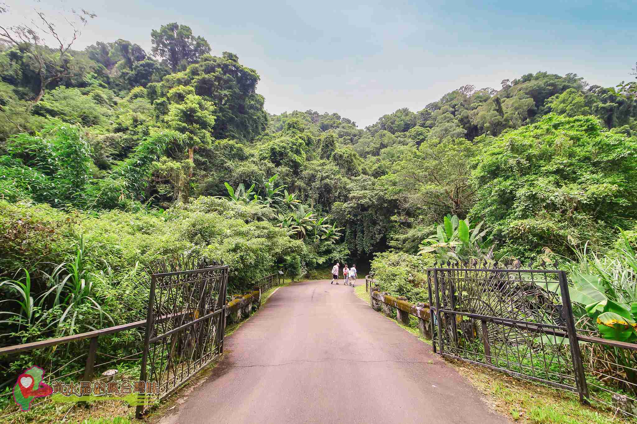 後慈湖｜大溪景點｜桃園景點｜大溪秘境｜桃園秘境｜兩蔣文化園區｜慈湖陵寢｜慈湖秘境｜桃園網美景點｜大溪網美景點｜螢火蟲