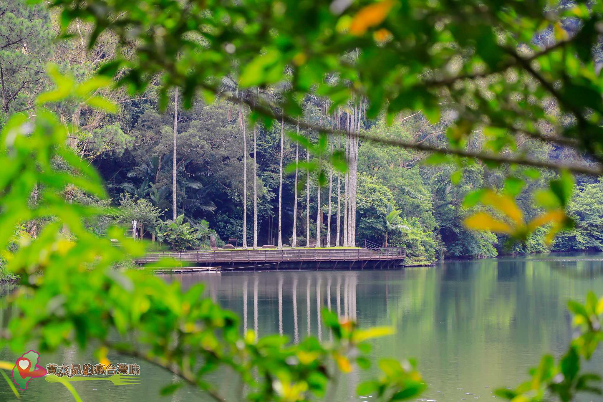 後慈湖｜大溪景點｜桃園景點｜大溪秘境｜桃園秘境｜兩蔣文化園區｜慈湖陵寢｜慈湖秘境｜桃園網美景點｜大溪網美景點｜螢火蟲