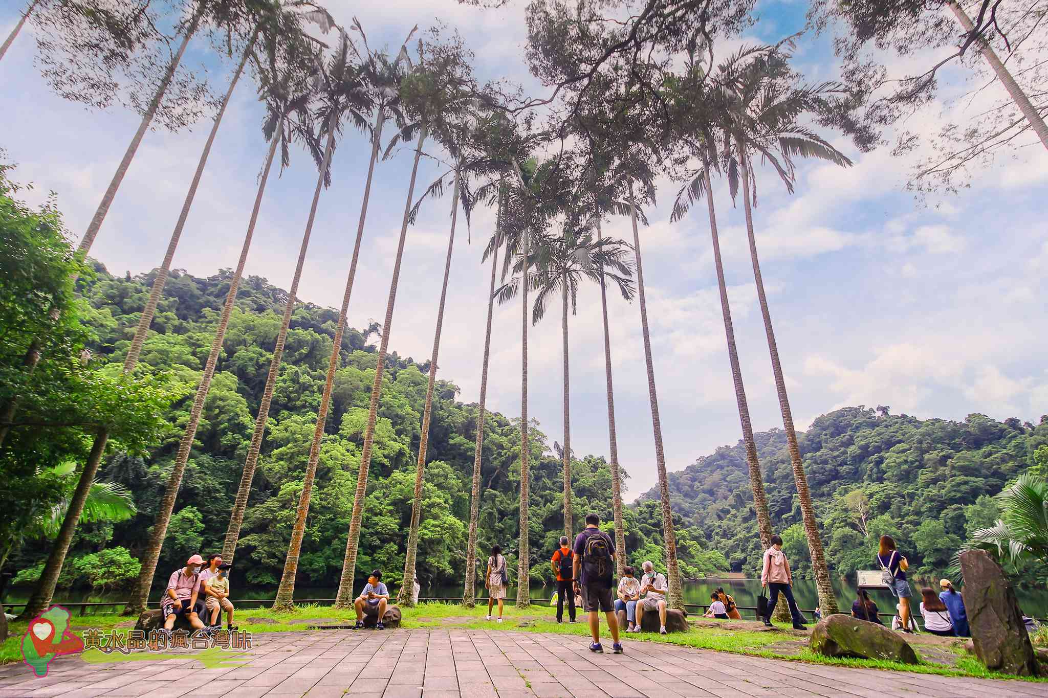 後慈湖｜大溪景點｜桃園景點｜大溪秘境｜桃園秘境｜兩蔣文化園區｜慈湖陵寢｜慈湖秘境｜桃園網美景點｜大溪網美景點｜螢火蟲