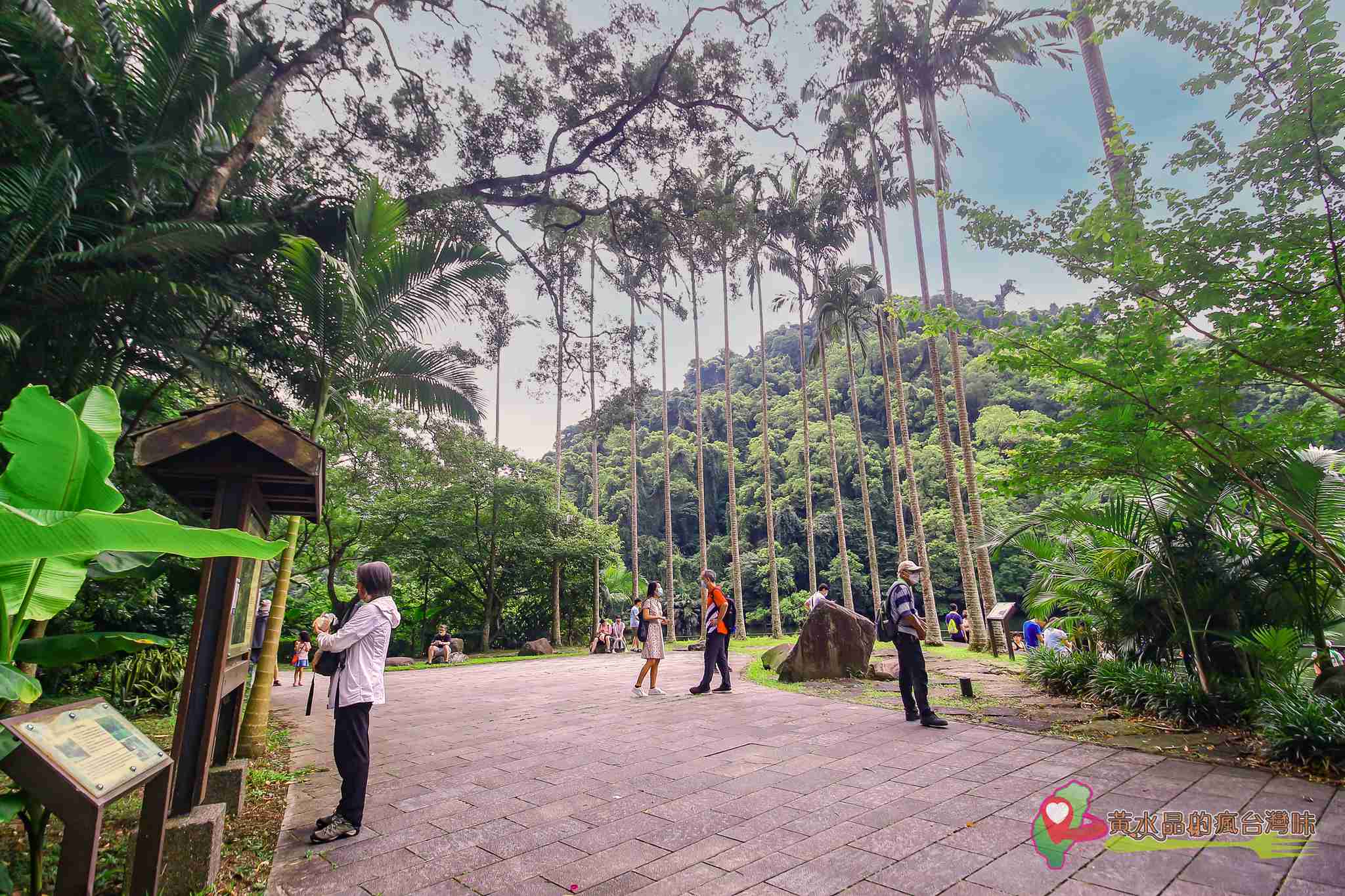 後慈湖｜大溪景點｜桃園景點｜大溪秘境｜桃園秘境｜兩蔣文化園區｜慈湖陵寢｜慈湖秘境｜桃園網美景點｜大溪網美景點｜螢火蟲