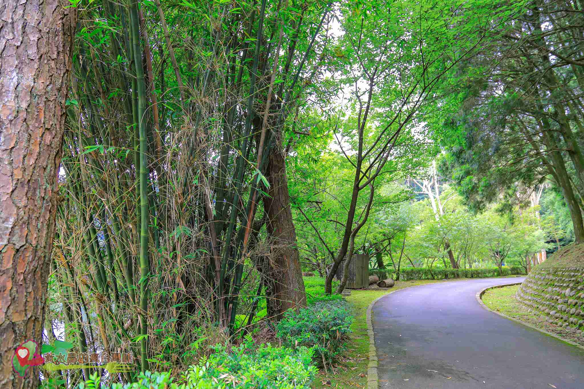 後慈湖｜大溪景點｜桃園景點｜大溪秘境｜桃園秘境｜兩蔣文化園區｜慈湖陵寢｜慈湖秘境｜桃園網美景點｜大溪網美景點｜螢火蟲