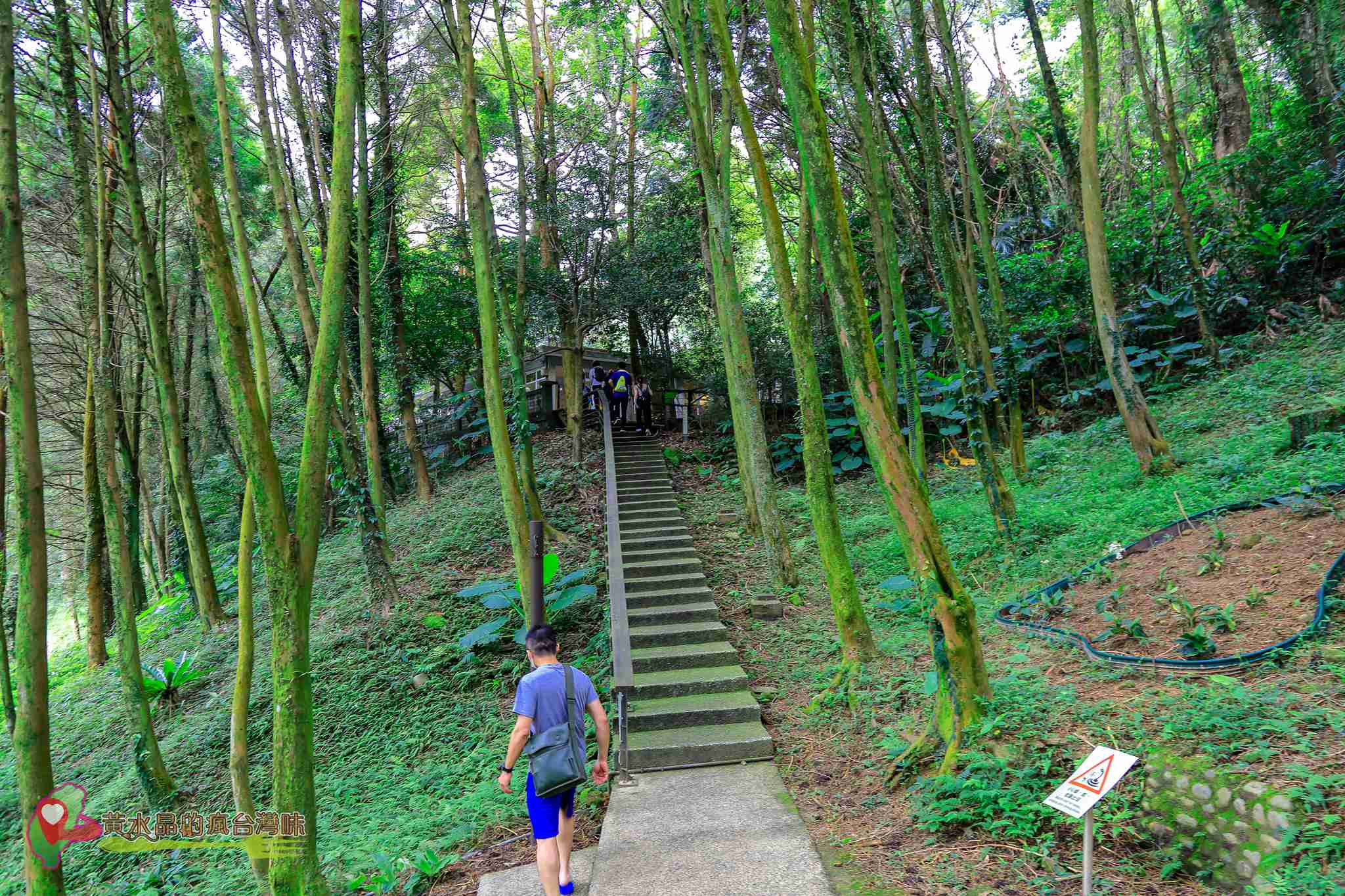 後慈湖｜大溪景點｜桃園景點｜大溪秘境｜桃園秘境｜兩蔣文化園區｜慈湖陵寢｜慈湖秘境｜桃園網美景點｜大溪網美景點｜螢火蟲