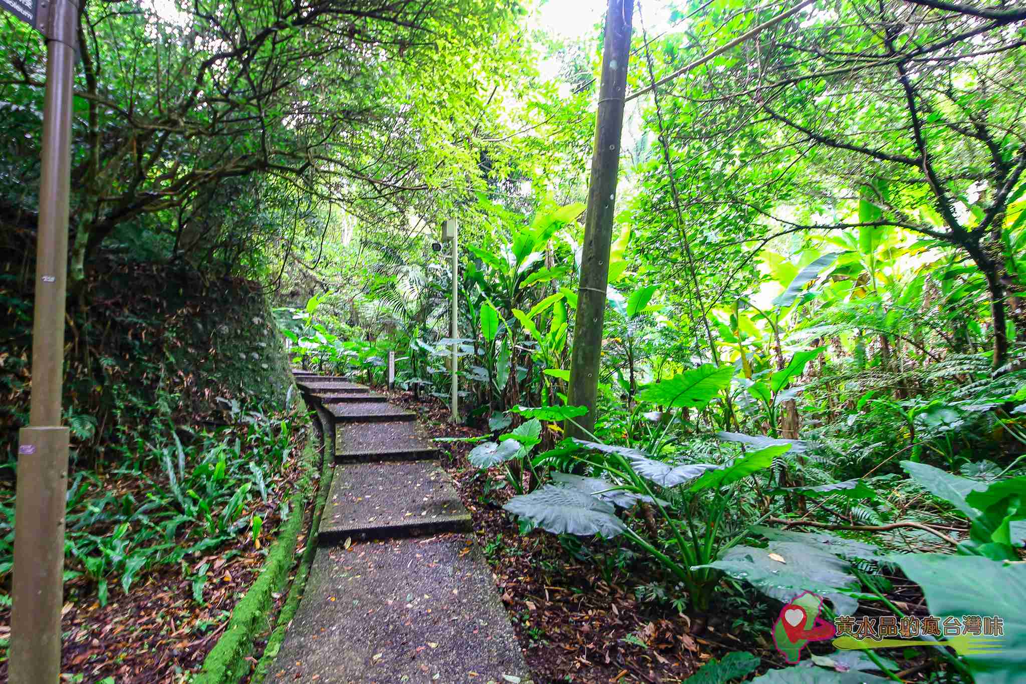 後慈湖｜大溪景點｜桃園景點｜大溪秘境｜桃園秘境｜兩蔣文化園區｜慈湖陵寢｜慈湖秘境｜桃園網美景點｜大溪網美景點｜螢火蟲