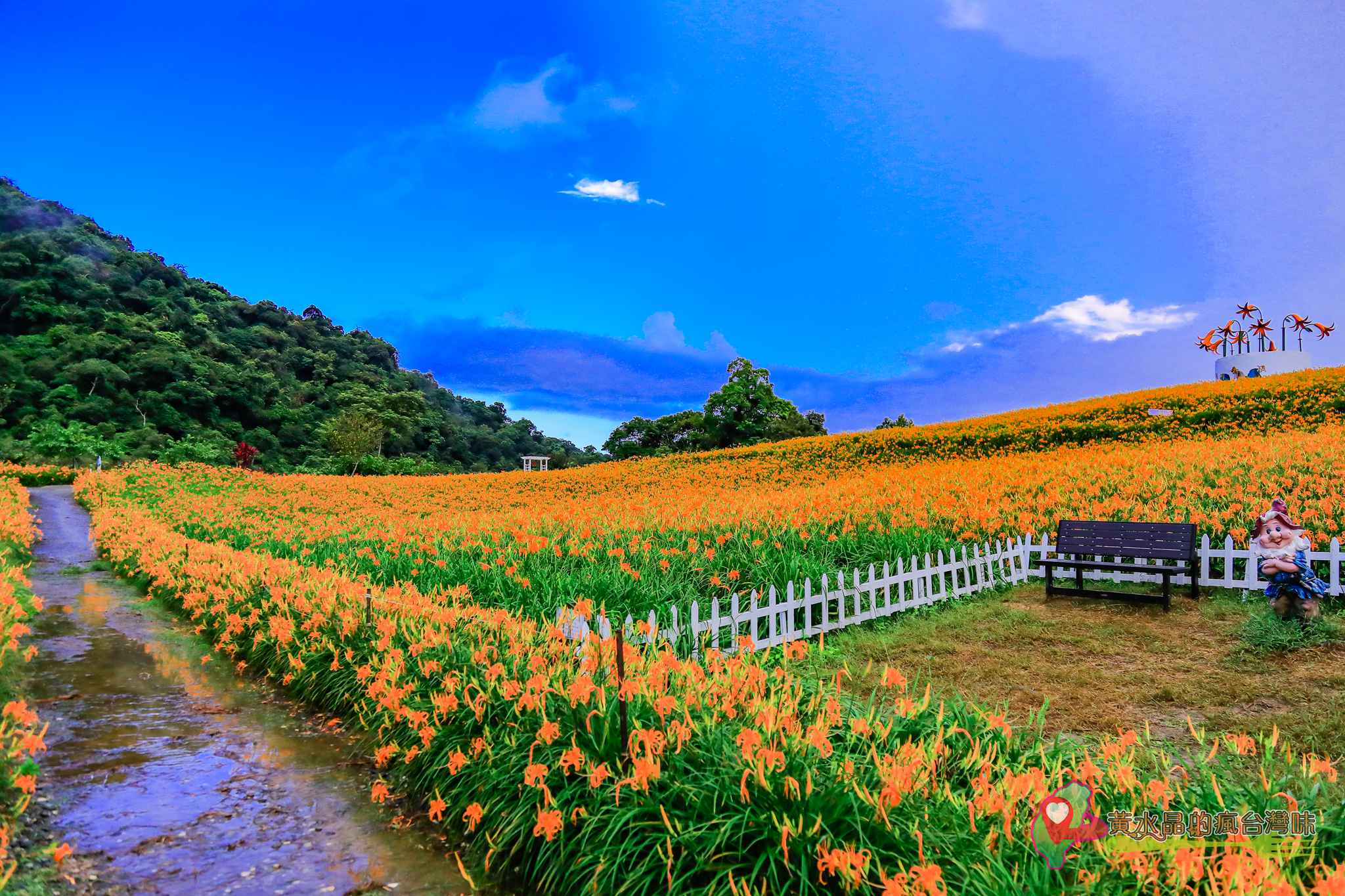 赤科山林家園休閒農場【花蓮景點】｜網美必遊金針花海農家樂