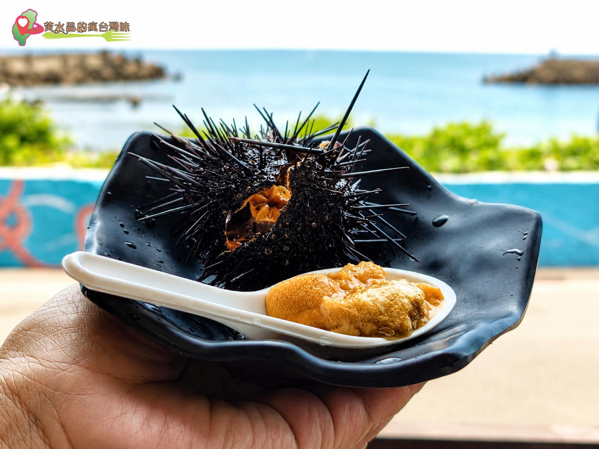 紫海膽 紫海膽