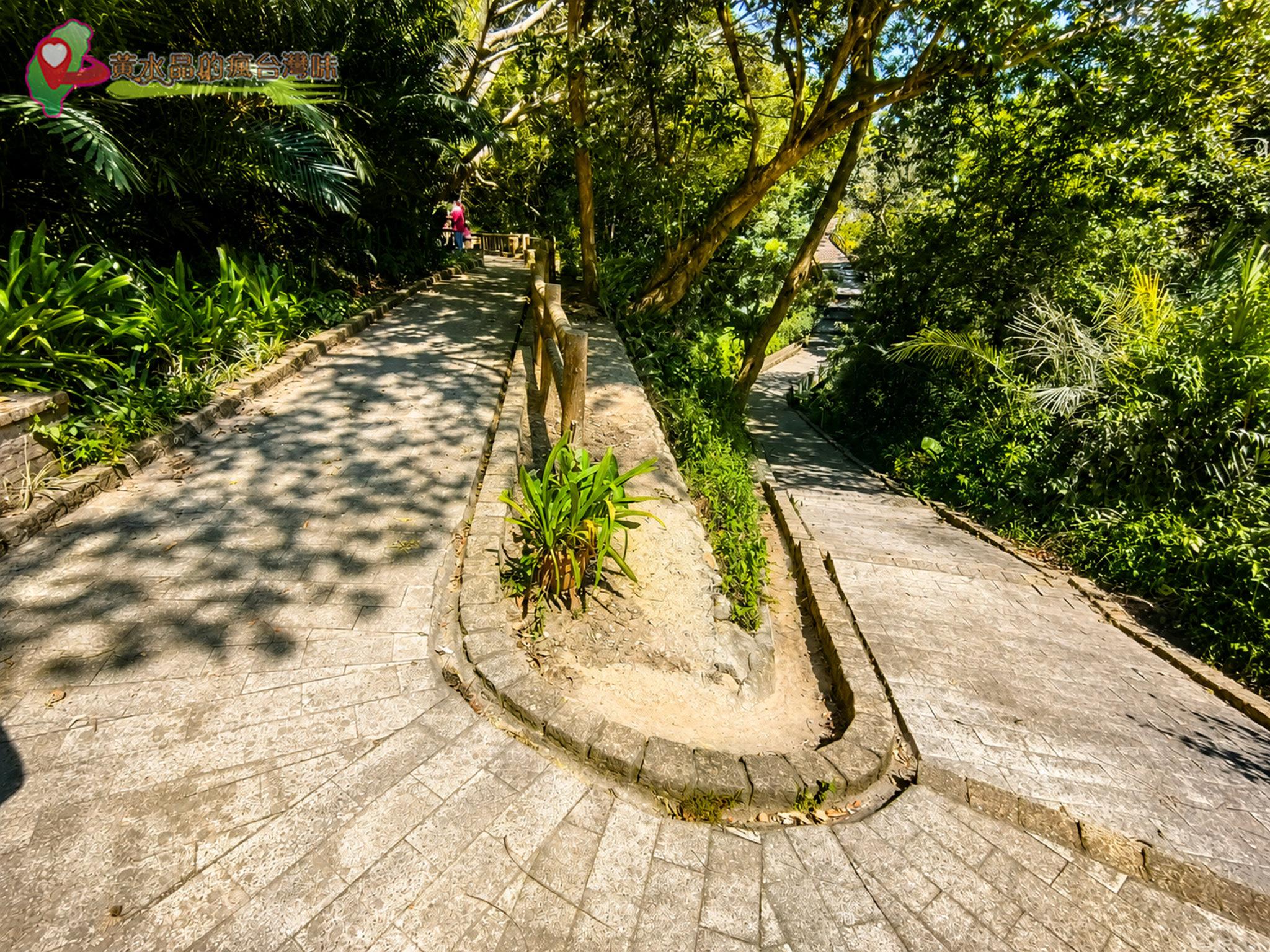 大北坑百年眾伯公步道 大北坑百年眾伯公步道