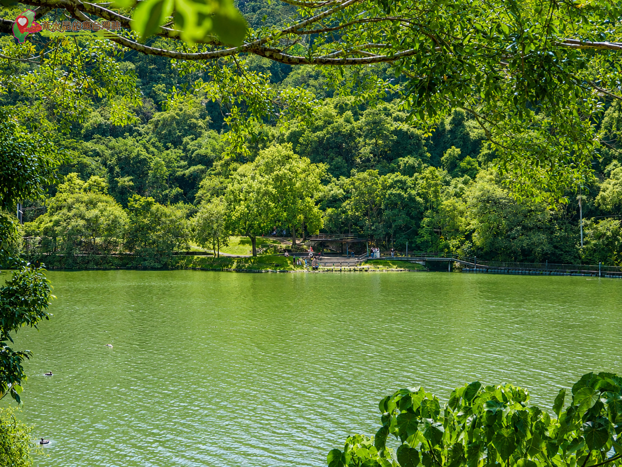 梅花湖|浮桶橋 梅花湖|浮桶橋