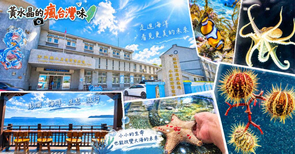 澎湖免費景點隱藏版！可以摸海膽、種珊瑚，親子雨天也能玩的海洋生態秘境