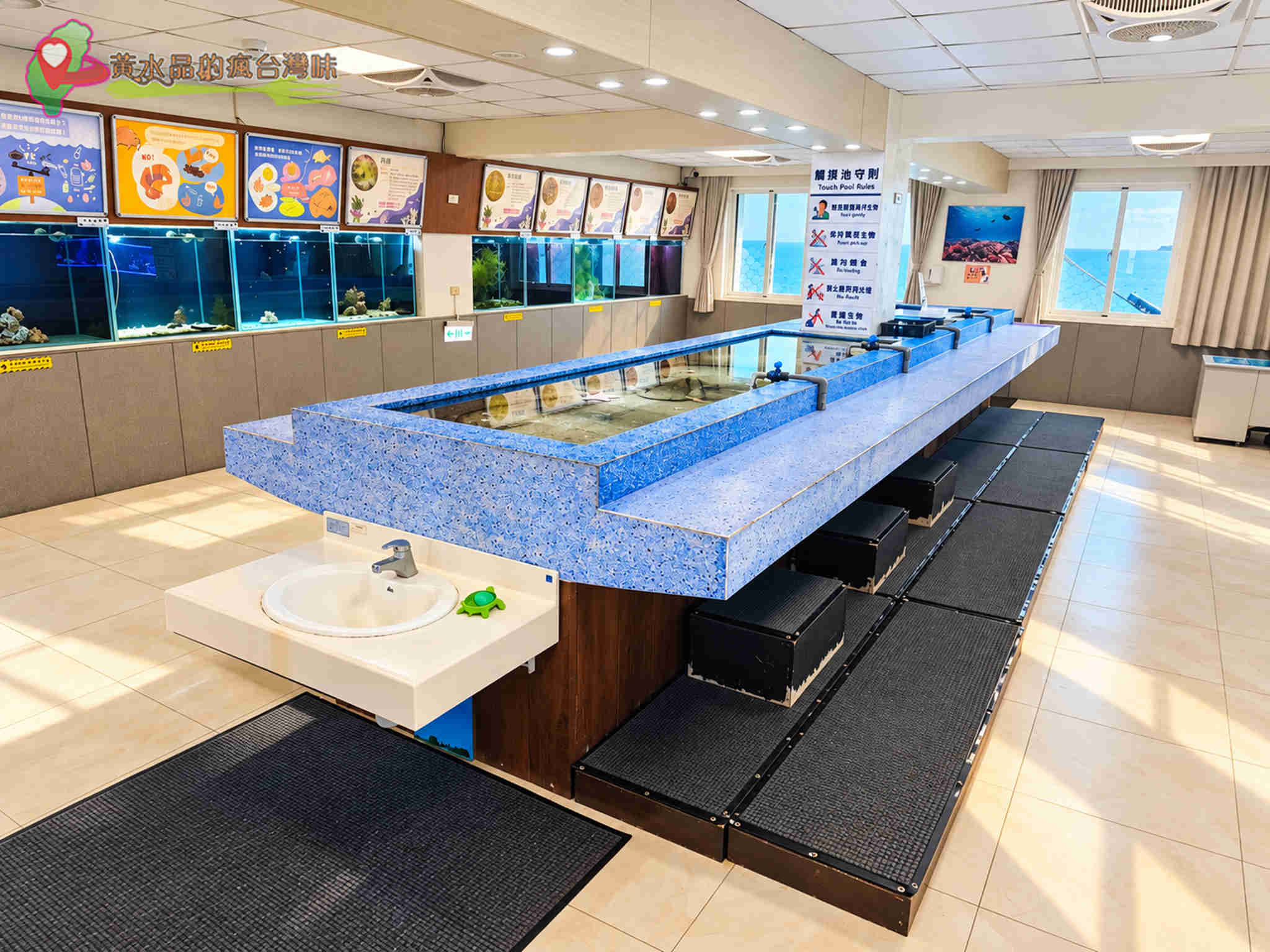 澎湖縣水產種苗繁殖場|觸摸體驗 澎湖縣水產種苗繁殖場|觸摸體驗